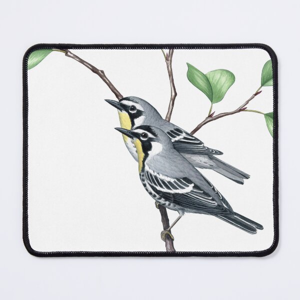 Item preview, Yellow-throated Warbler (Setophaga dominica) designed and sold by JadaFitch.