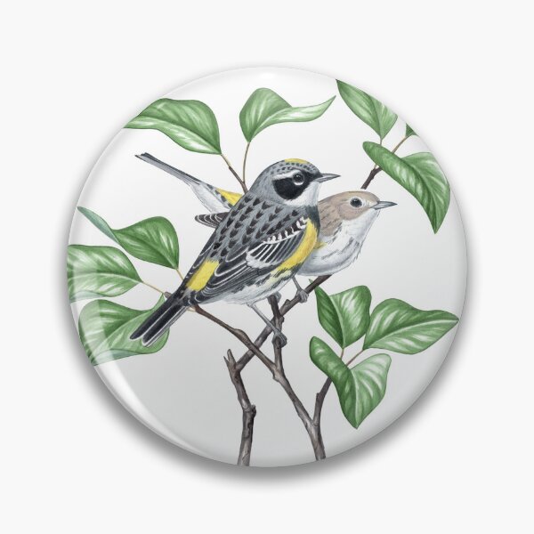 Item preview, Yellow-Rumped Warbler, Myrtle (Setophaga coronata)  designed and sold by JadaFitch.