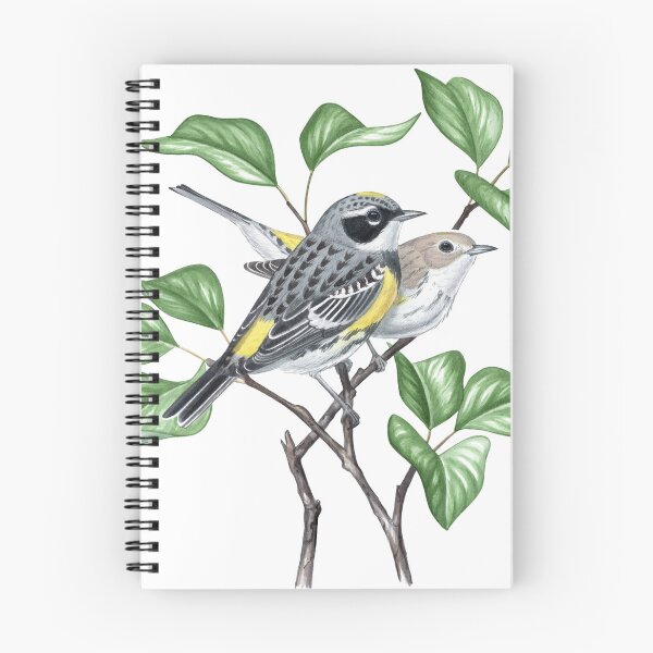 Item preview, Yellow-Rumped Warbler, Myrtle (Setophaga coronata)  designed and sold by JadaFitch.