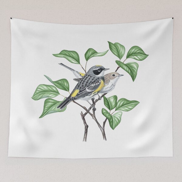 Item preview, Yellow-Rumped Warbler, Myrtle (Setophaga coronata)  designed and sold by JadaFitch.