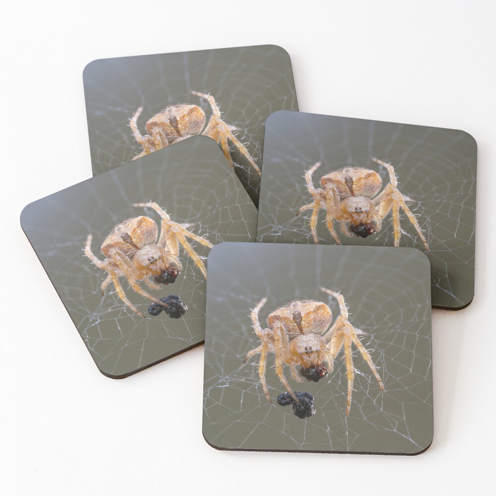 Item preview, Coasters (Set of 4) designed and sold by RalphGoldsmith.