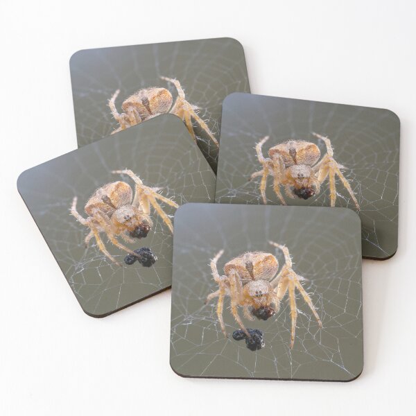 Item preview, Orb Weaver 1 designed and sold by Ralph Goldsmith.