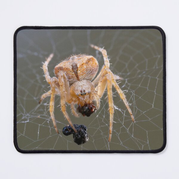 Item preview, Orb Weaver 1 designed and sold by Ralph Goldsmith.