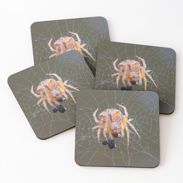 Item preview, Orb Weaver 2 designed and sold by Ralph Goldsmith.