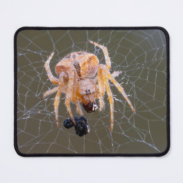 Item preview, Orb Weaver 2 designed and sold by Ralph Goldsmith.