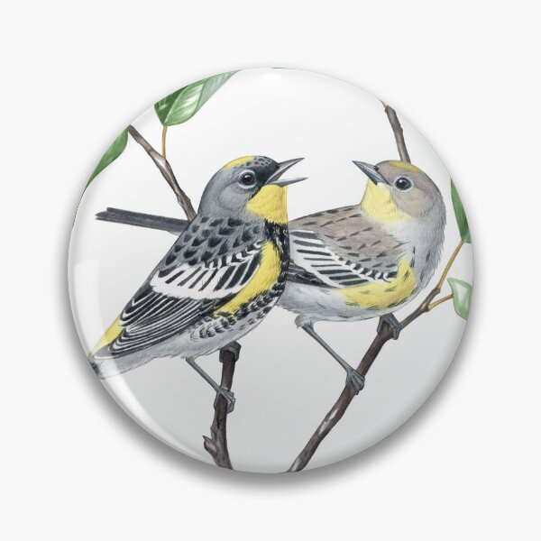 Item preview, Yellow-rumped Warbler, Audubons ( Setophaga coronata auduboni) designed and sold by JadaFitch.