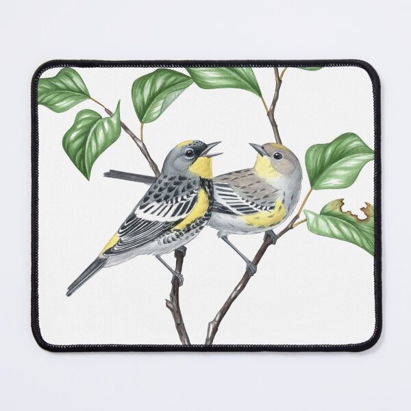 Item preview, Yellow-rumped Warbler, Audubons ( Setophaga coronata auduboni) designed and sold by JadaFitch.