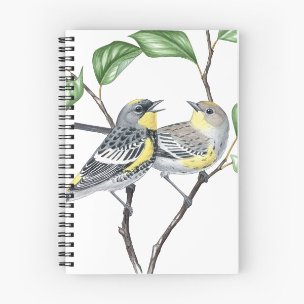 Item preview, Yellow-rumped Warbler, Audubons ( Setophaga coronata auduboni) designed and sold by JadaFitch.