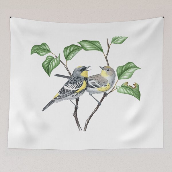 Item preview, Yellow-rumped Warbler, Audubons ( Setophaga coronata auduboni) designed and sold by JadaFitch.
