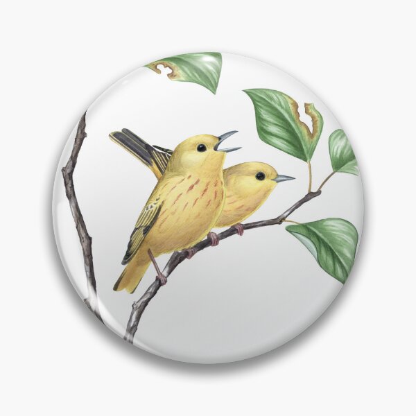 Item preview, Northern Yellow Warbler (Setophaga aestiva) designed and sold by JadaFitch.