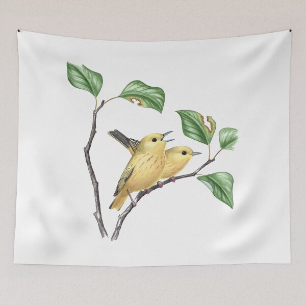 Item preview, Northern Yellow Warbler (Setophaga aestiva) designed and sold by JadaFitch.