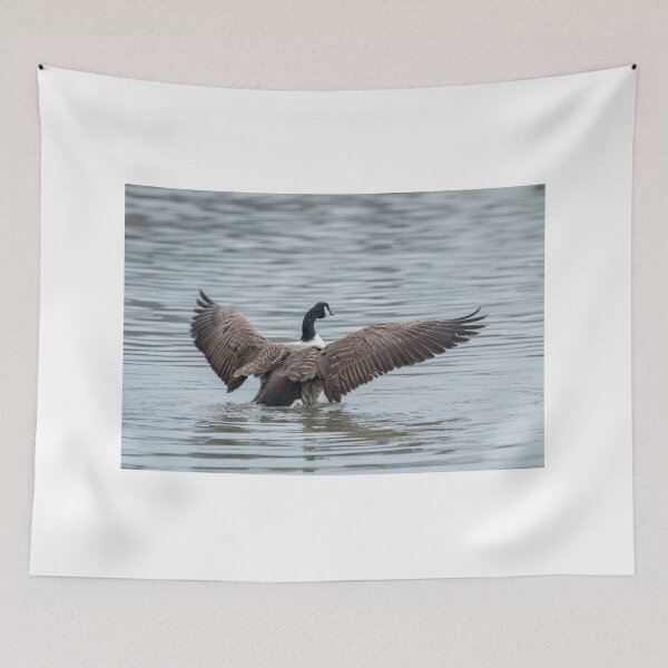 Item preview, Canada Goose Bathing designed and sold by Sue Robinson.