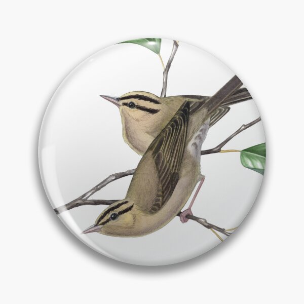 Item preview, Worm-eating Warbler (Helmitheros vermivorum) designed and sold by JadaFitch.