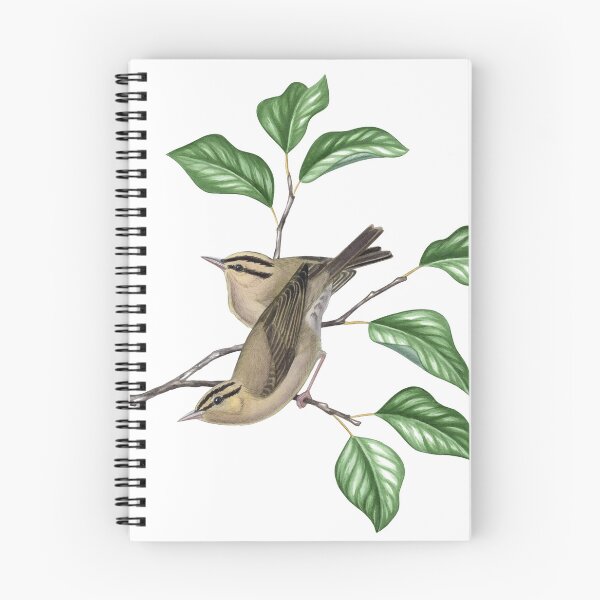 Item preview, Worm-eating Warbler (Helmitheros vermivorum) designed and sold by JadaFitch.
