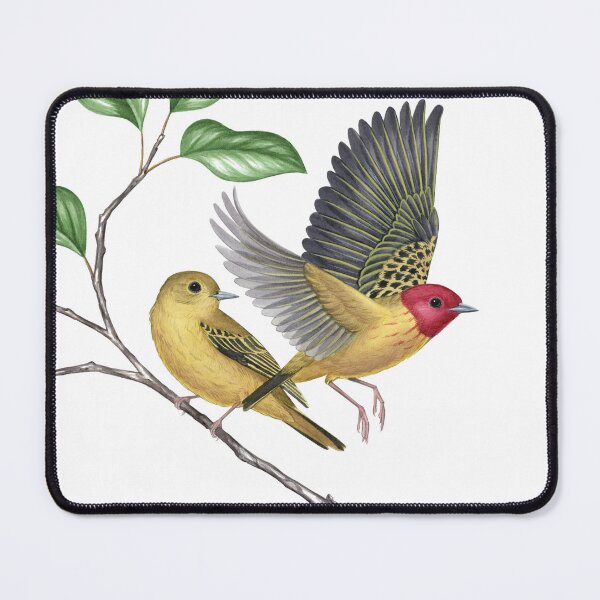 Item preview, Mangrove Yellow Warbler (Setophaga petechia) designed and sold by JadaFitch.