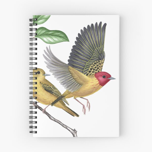 Item preview, Mangrove Yellow Warbler (Setophaga petechia) designed and sold by JadaFitch.