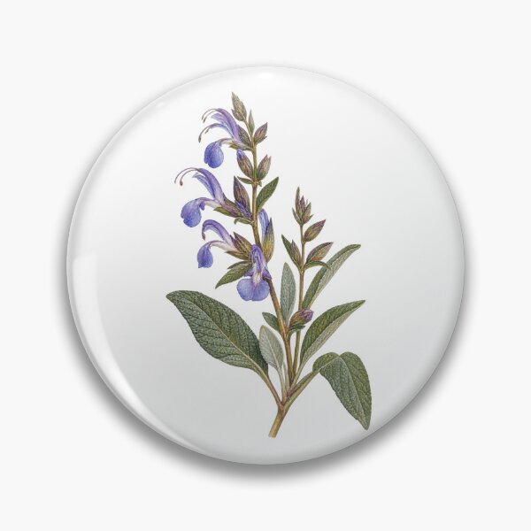 Item preview, Basilicata Botanical Study in Watercolour designed and sold by FurusatoGallery.