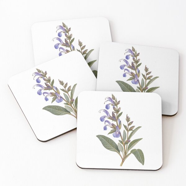 Item preview, Basilicata Botanical Study in Watercolour designed and sold by FurusatoGallery.