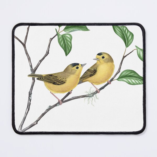 Item preview, Wilson's Warbler (Cardellina pusilla) designed and sold by JadaFitch.