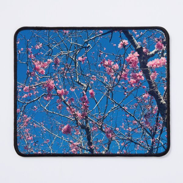 Item preview, Cherry Blossoms Against Blue Sky designed and sold by Jasbindar Singh.