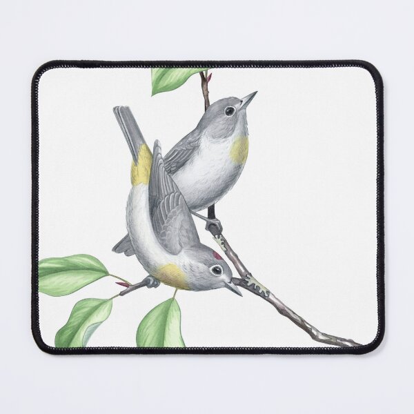 Item preview, Virginia's warbler (Leiothlypis virginiae) designed and sold by JadaFitch.
