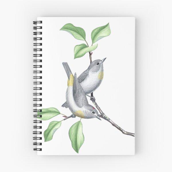 Item preview, Virginia's warbler (Leiothlypis virginiae) designed and sold by JadaFitch.