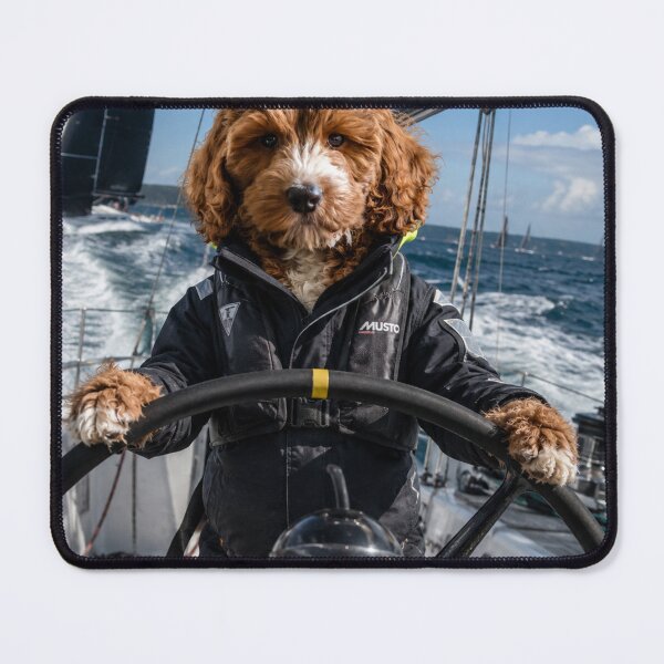 Item preview, Cockapoo Racing Skipper at the Helm designed and sold by Paul Thompson Photography.