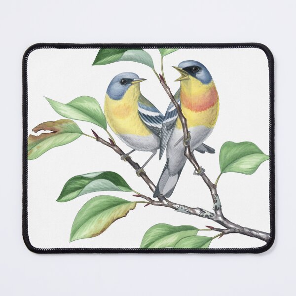 Item preview, Tropical Parula (Setophaga pitiayumi)  designed and sold by JadaFitch.