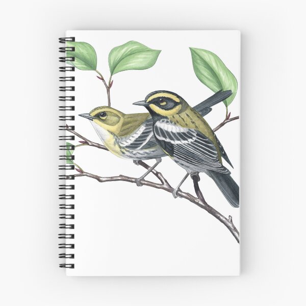 Item preview, Townsend's Warbler (Setophaga townsendi) designed and sold by JadaFitch.