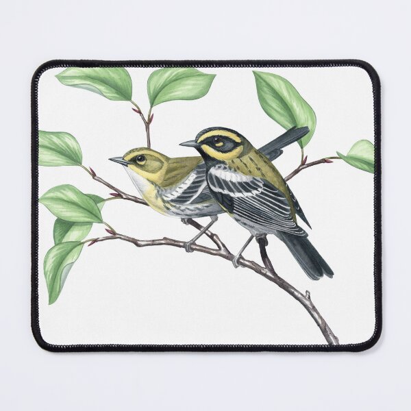 Item preview, Townsend's Warbler (Setophaga townsendi) designed and sold by JadaFitch.