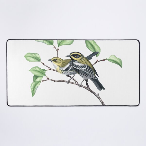 Item preview, Townsend's Warbler (Setophaga townsendi) designed and sold by JadaFitch.