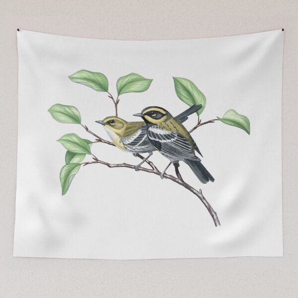 Item preview, Townsend's Warbler (Setophaga townsendi) designed and sold by JadaFitch.