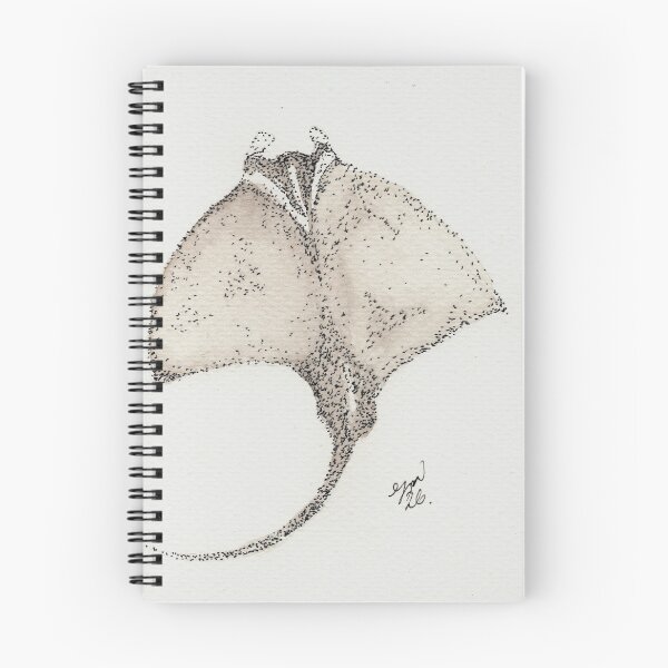 Item preview, Manta Ray designed and sold by Frederick James Norman.