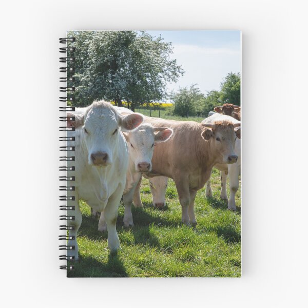 Item preview, group of cows designed and sold by Por_photos.