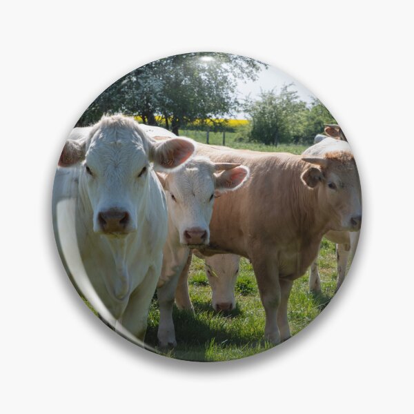 Item preview, group of cows designed and sold by Por_photos.