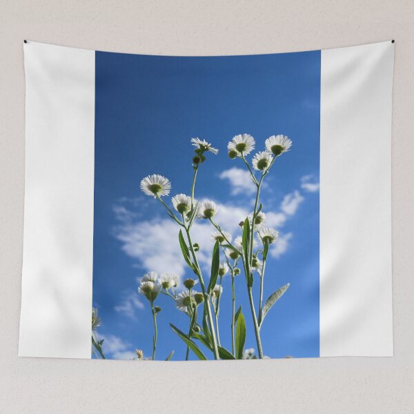 Item preview, Wild Daisies Under Bright Blue Sky Photography designed and sold by Nature Moments.