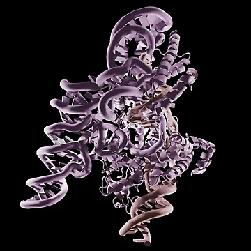 Artwork thumbnail, Molecule by ScienceRex