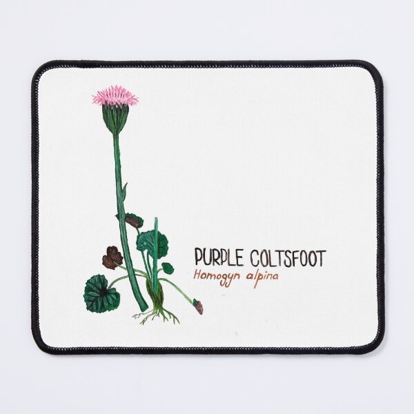 Item preview, Purple Coltsfoot -Homogyn alpina designed and sold by kindbotanicals.