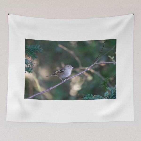 Item preview, Female Chaffinch Perched in Woodland designed and sold by Sue Robinson.