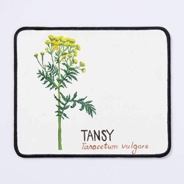 Item preview, Tansy - Tanacetum vulgare designed and sold by kindbotanicals.