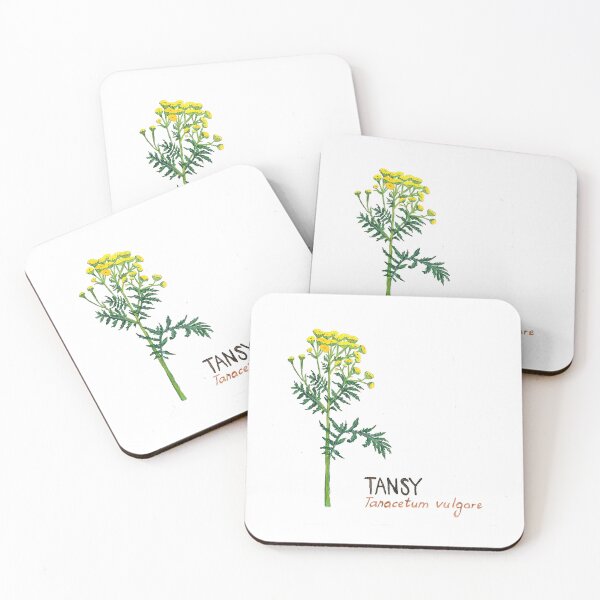 Item preview, Tansy - Tanacetum vulgare designed and sold by kindbotanicals.