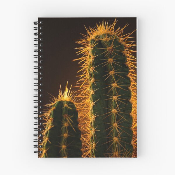 Item preview, Golden Backlit Cactus Spines Macro Desert Botanical Photo designed and sold by LYAN-STORE.
