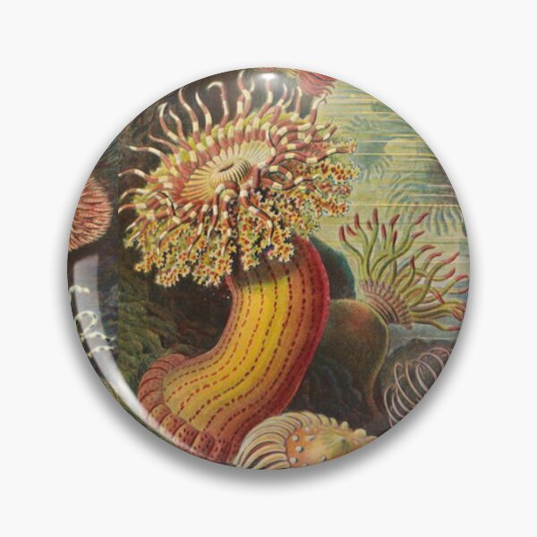 Item preview, Sea anemone vintage designed and sold by dotingkettle.
