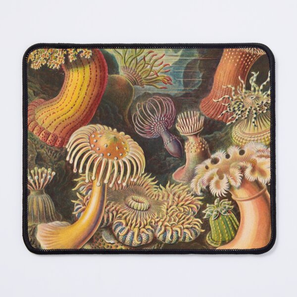 Item preview, Sea anemone vintage designed and sold by dotingkettle.