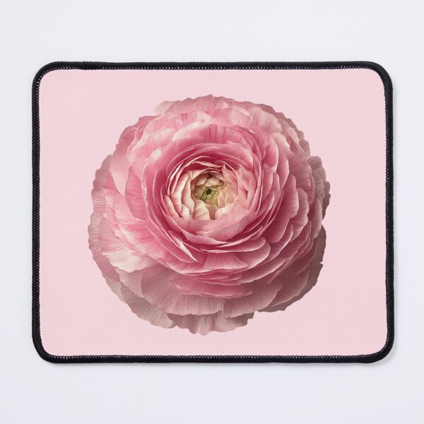 Item preview, Pink Ranunculus Flower Romantic Botanical designed and sold by jianina-alondra.