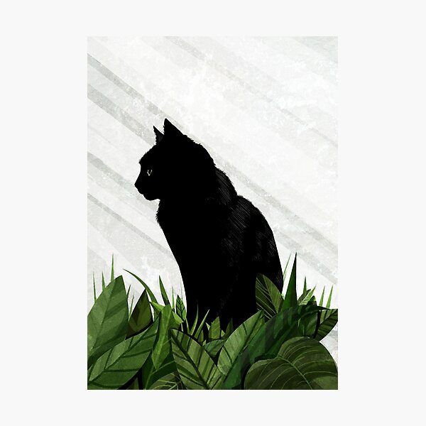 Black Cat in a greenhouse Photographic Print