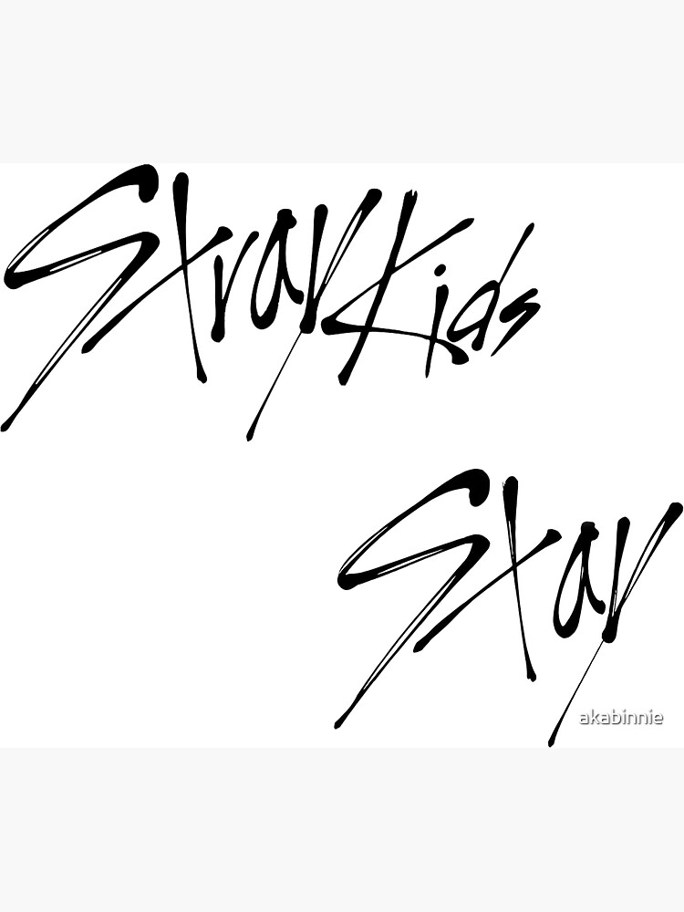 stray kids x stay
