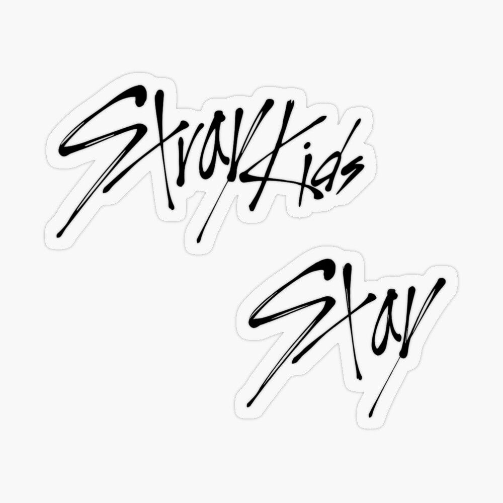 stray kids x stay
