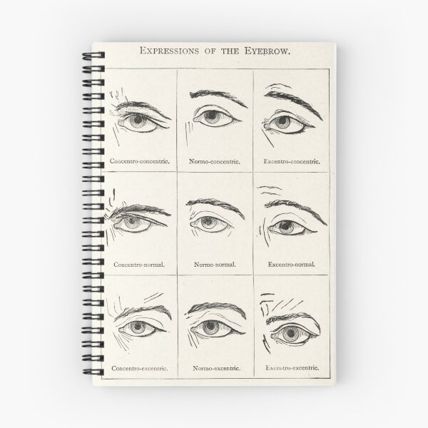Item preview, Expressions of the Eyebrow designed and sold by dotingkettle.