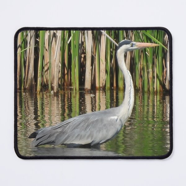 Item preview, Majestic Grey Heron in the Water designed and sold by nietylkoszulki.